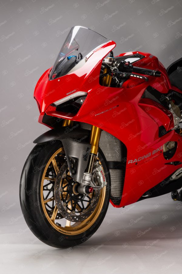 Ducati Panigale V4 front mud guard
